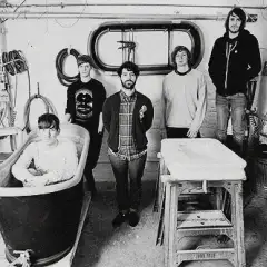 Foals